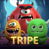 RWWIN Tripe